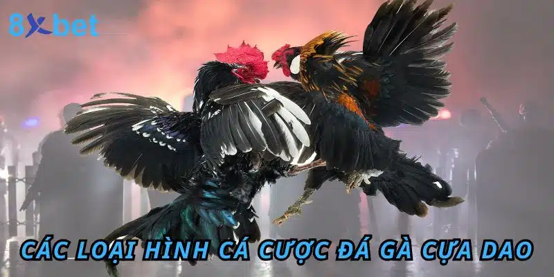 Các loại hình cá cược Đá Gà cựa dao tại KU88