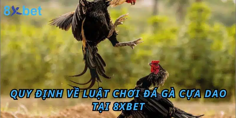 Quy định về Luật chơi Đá Gà cựa dao tại KU88