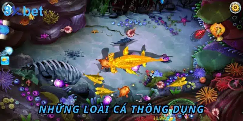 Bắn Cá iCa – Trải Nghiệm Giải Trí Đổi Thưởng Hấp Dẫn 12 Những loài cá thông dụng