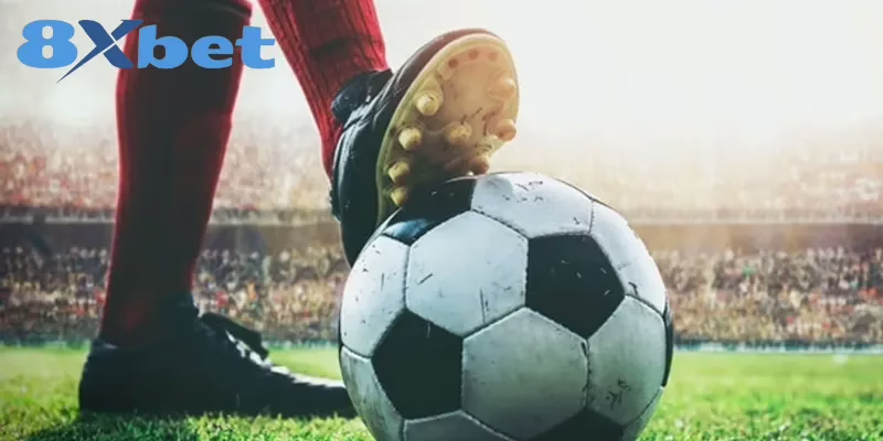 Phân Biệt Rõ Cược Đơn, Cược Xiên Và Cược Rung Tại KU88 24 So sánh các loại cược theo một số tiêu chí cơ bản